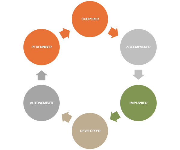 Graphique accompagnement